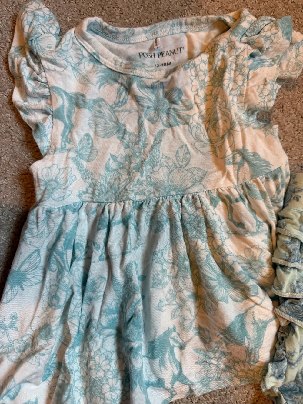 Posh Peanut Aqua Floral Ruffle Bummie Set